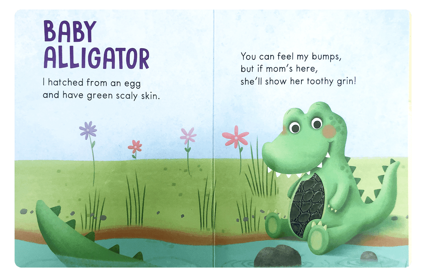 Little Hippo: Touch and Feel Baby Animals Board Book Children Tactile Learning