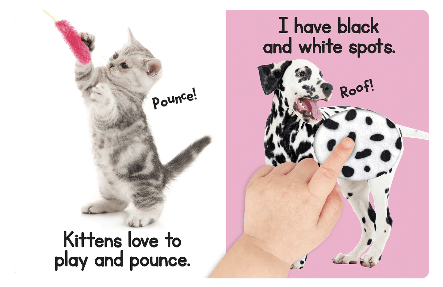 Touch and Feel Puppies and Kittens by Little Hippo Books