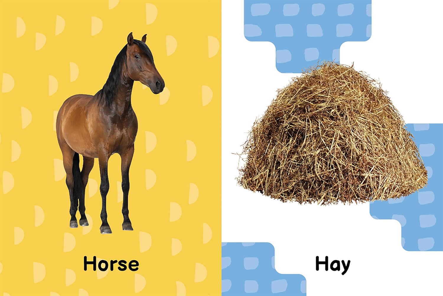 little hippo books first farm word learning for toddlers