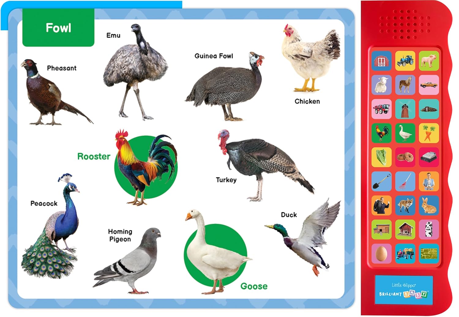 little hippo books listen and learn brilliant bay sounds on the farm for toddlers