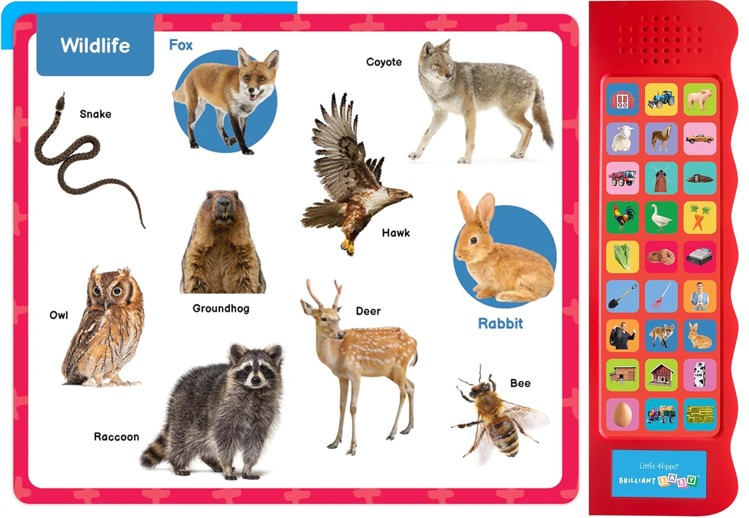 little hippo books listen and learn brilliant bay sounds on the farm for toddlers