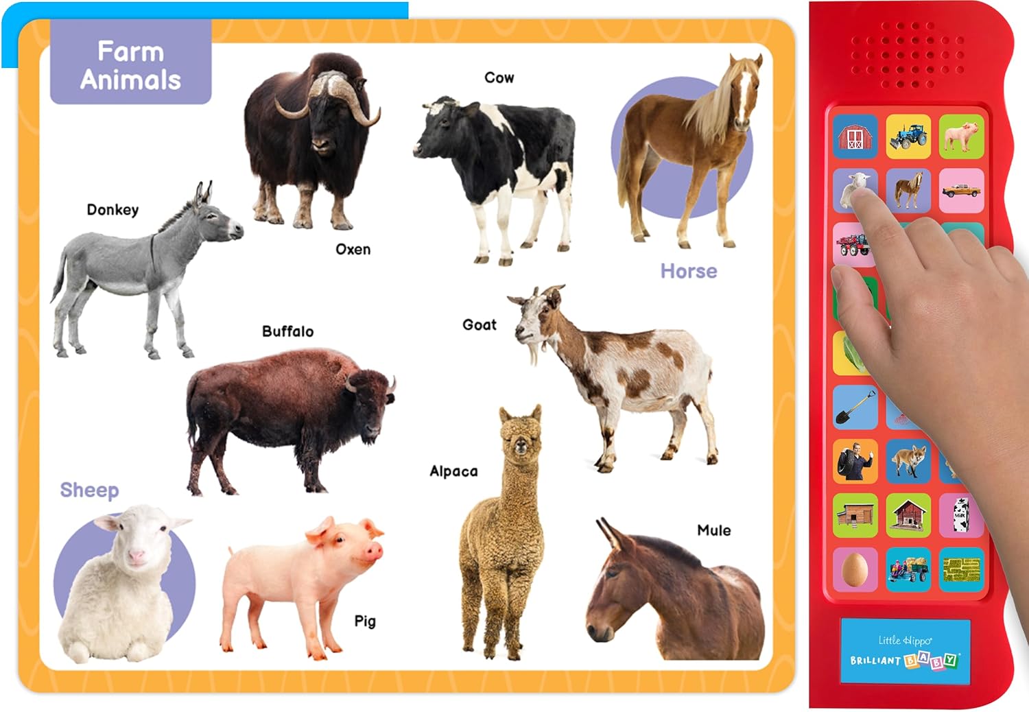 little hippo books listen and learn brilliant bay sounds on the farm for toddlers
