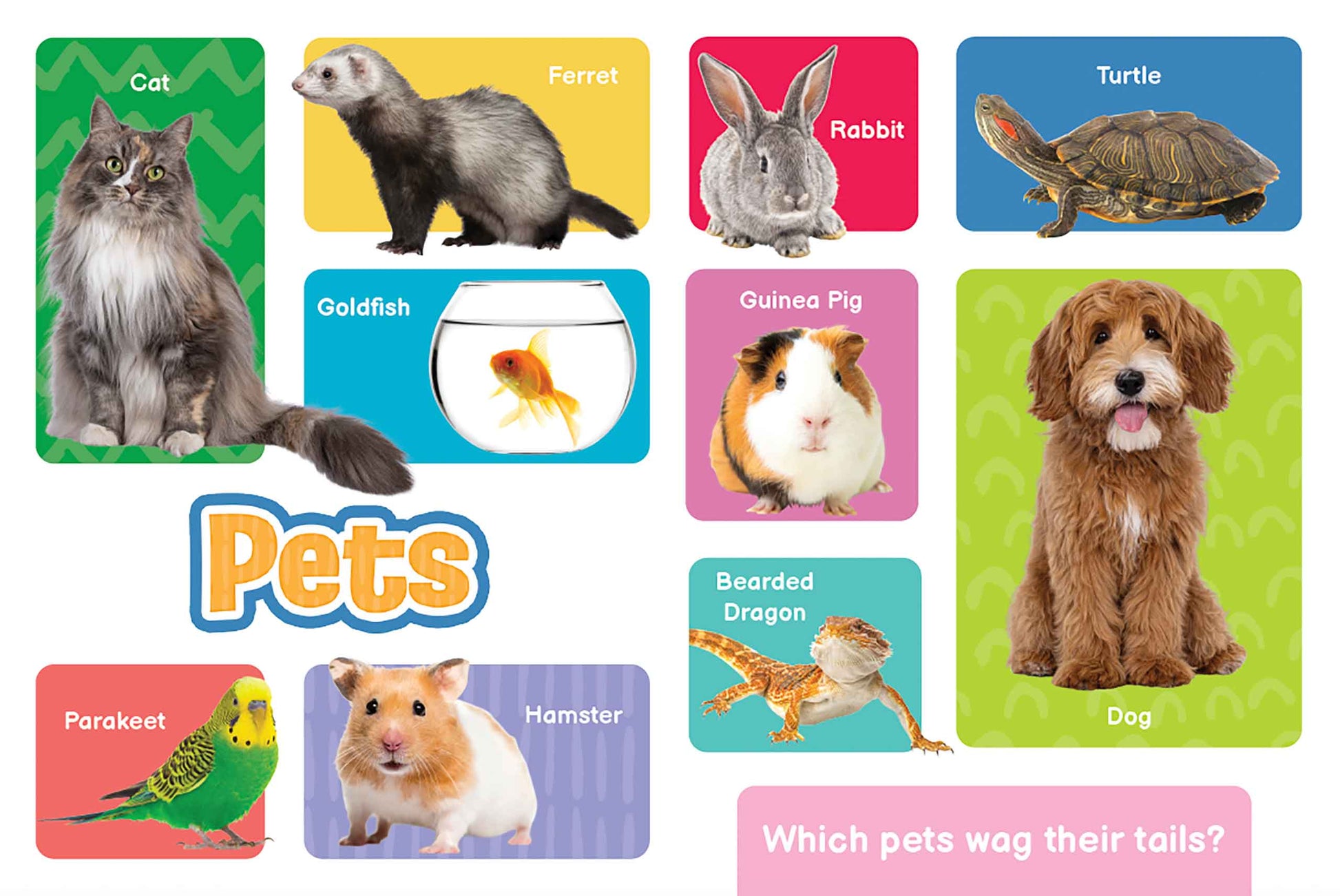 little hippo books 100 first animals educational book for toddlers