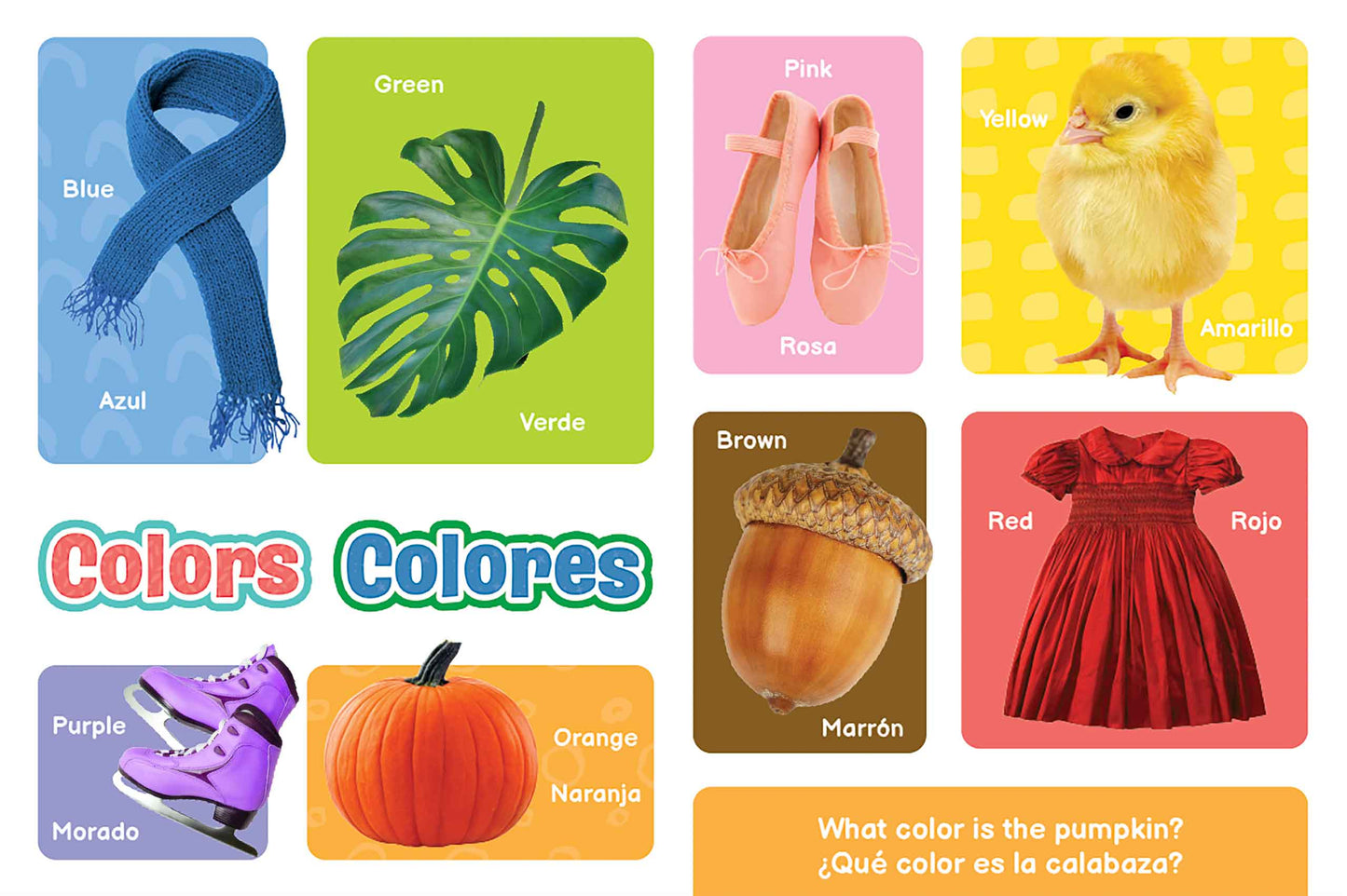 little hippo books first words in english and spanish for toddlers
