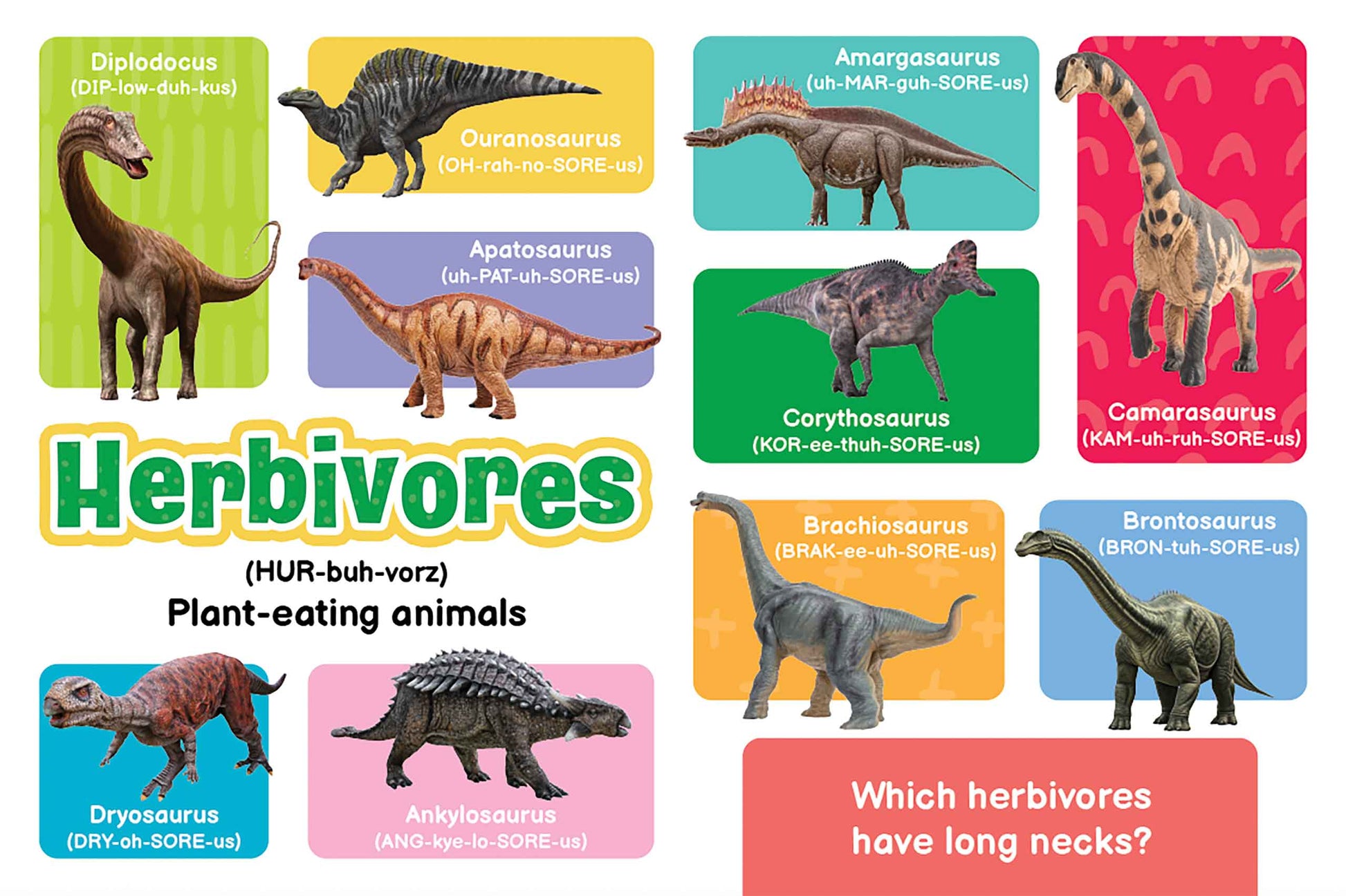 little hippo books 100 dinos and more educational brilliant baby for toddlers