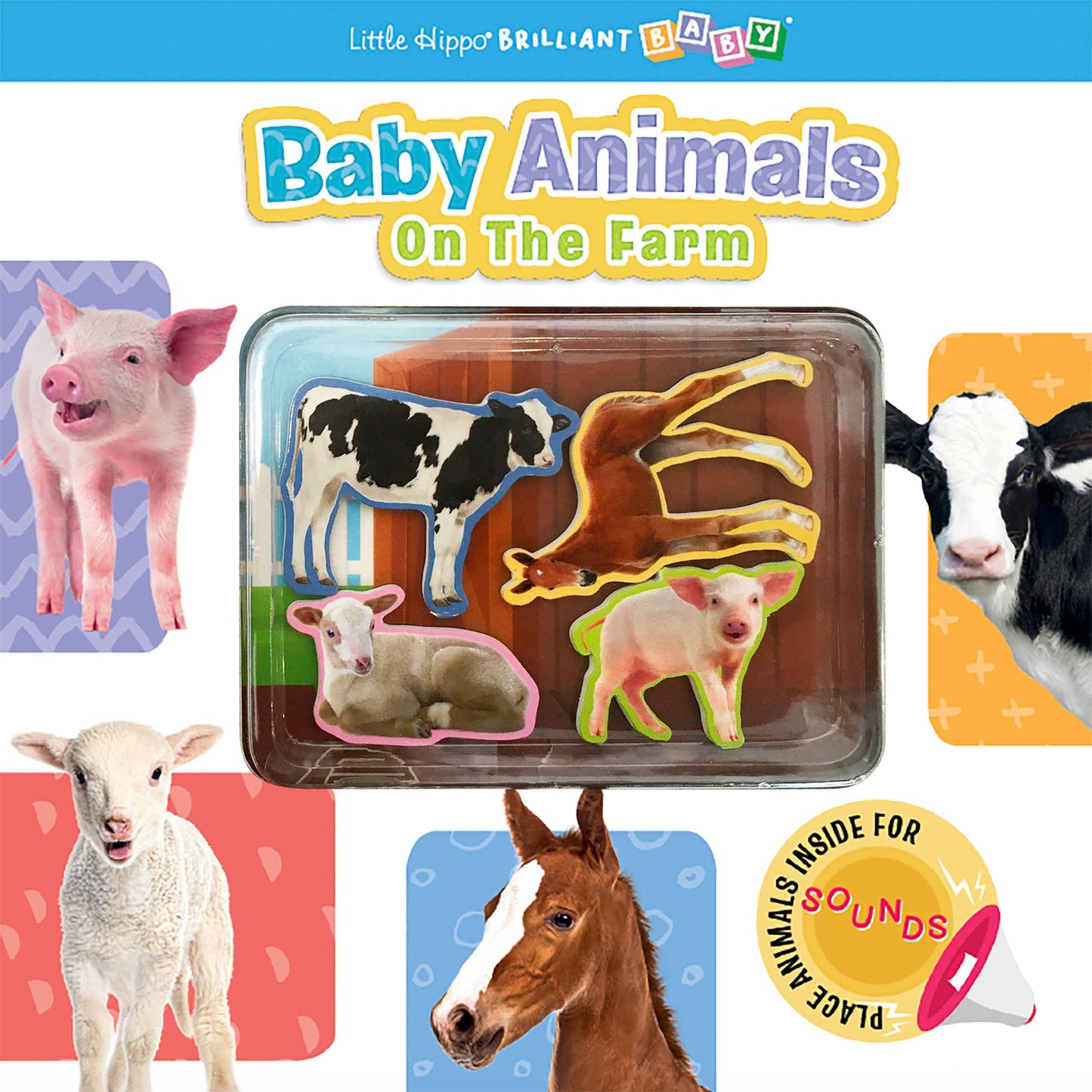 Front cover of the children's book 'Baby Animals On The Farm' by Little Hippo & Brilliant Baby, showing a clear plastic tray with farm animal cutouts (cows, horse, piglets, lamb) and surrounding animal photos on a white background.
