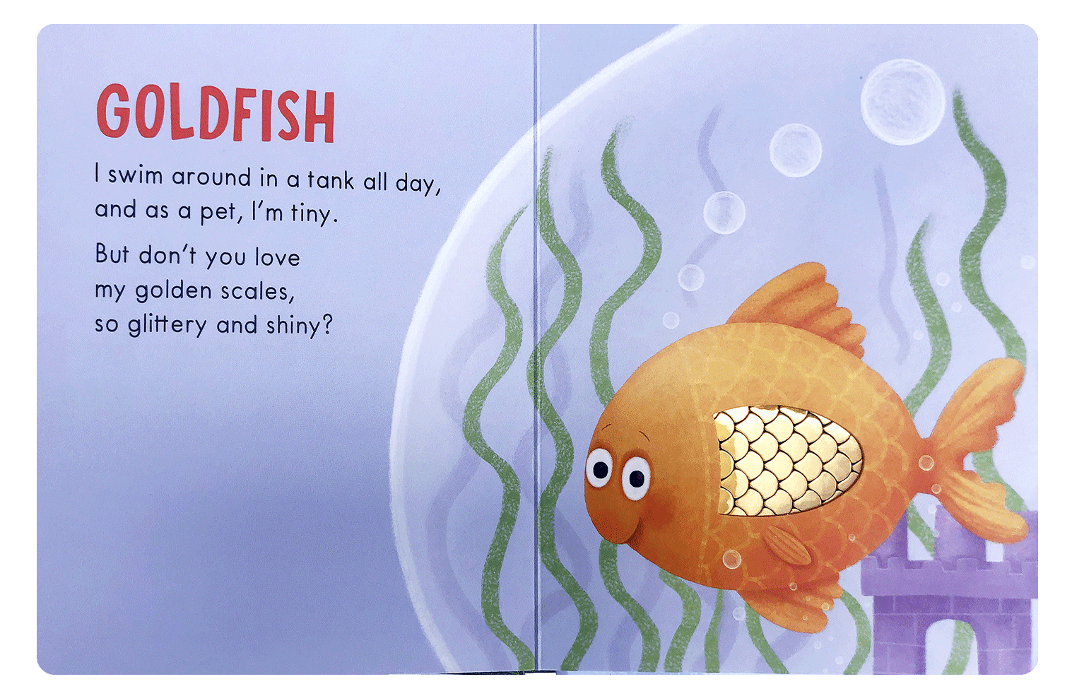 Little Hippo: Touch and Feel Adorable Pets Animals Board Book Children Tactile Learning