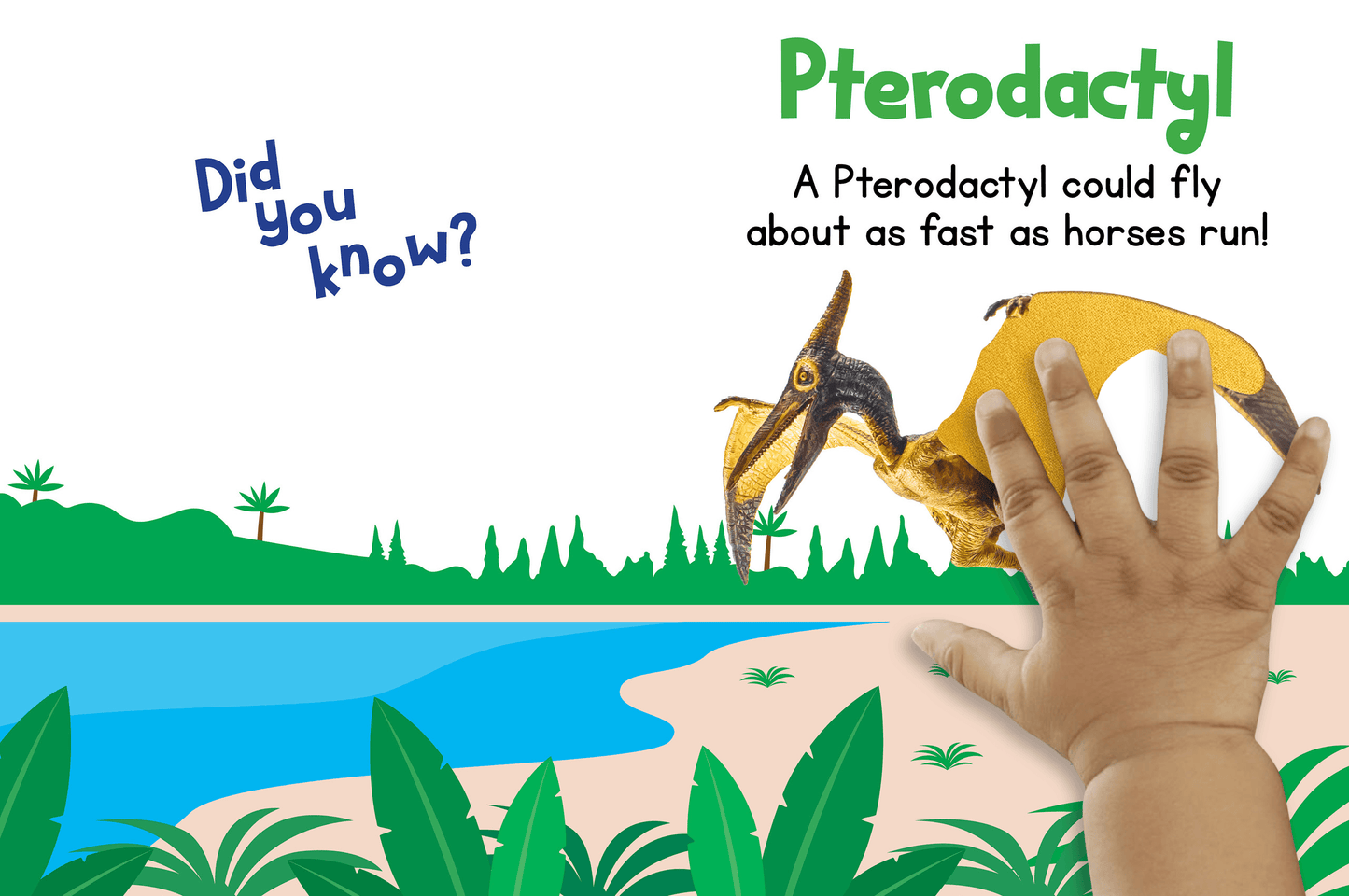 Little Hippo Books Touch and Feel Dinosaurs for Toddlers