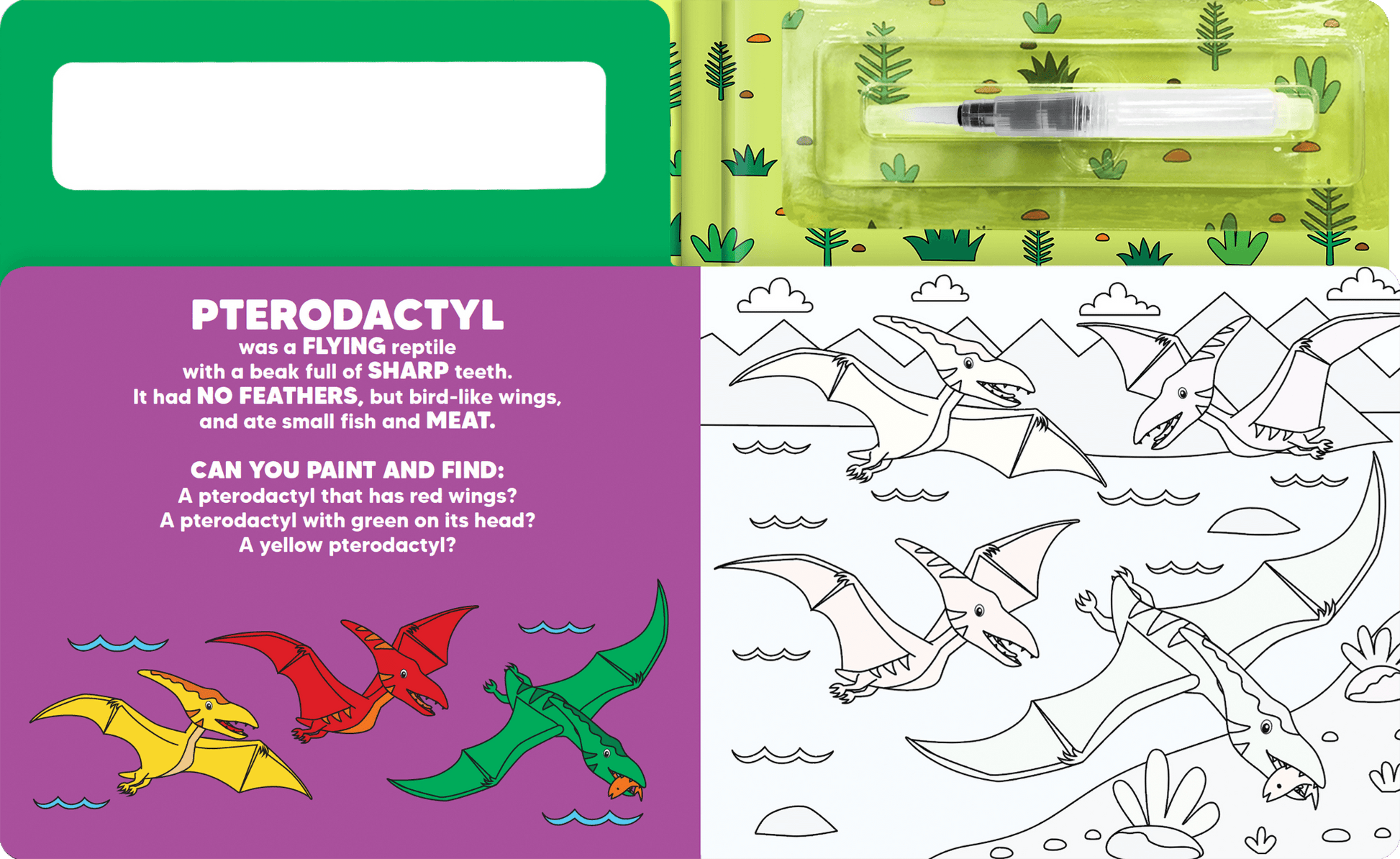 Paint and Find Dinosaurs - Little Hippo Books