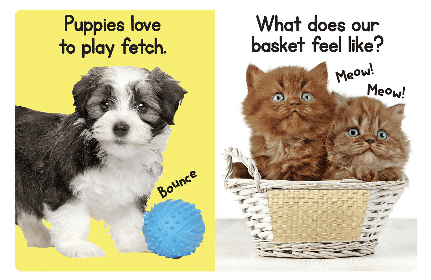 Touch and Feel Puppies and Kittens by Little Hippo Books