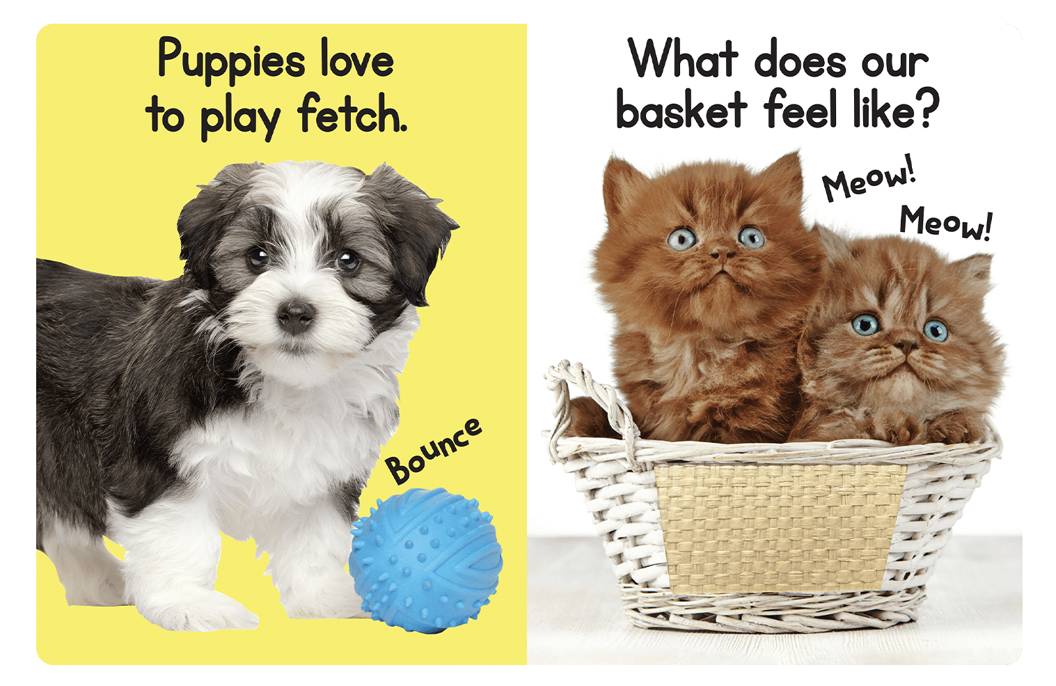 Touch and Feel Puppies and Kittens by Little Hippo Books