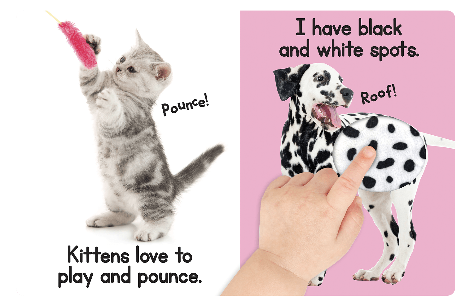 Touch and Feel Puppies and Kittens by Little Hippo Books
